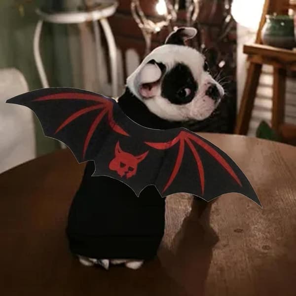 Halloween Kattekostumer, Sød Unik Halloween Kattekostume