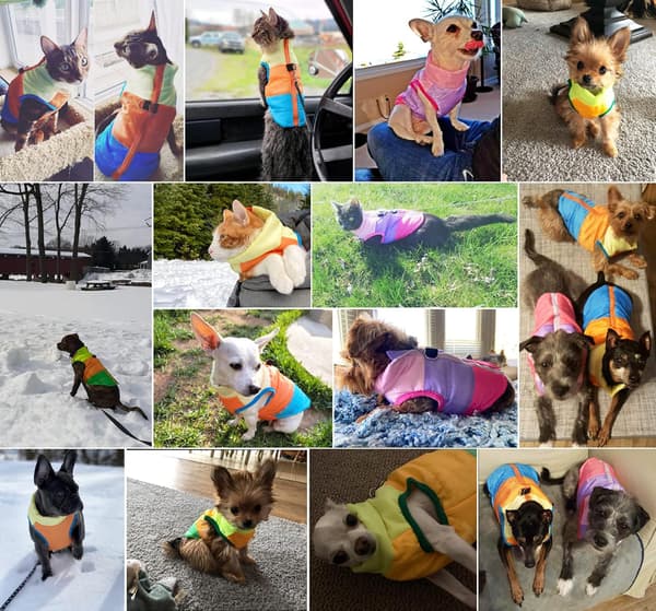 Hund- och kattjacka med koppelögla, färgglad patchwork, vadderad
