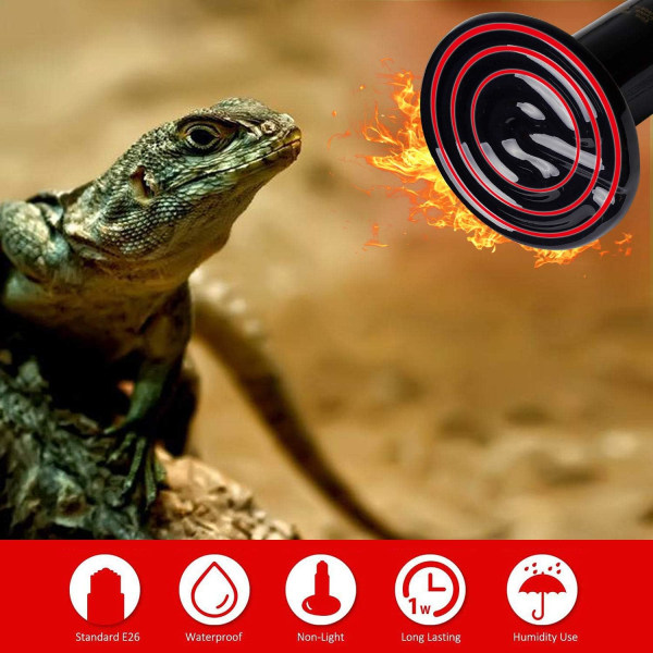 75W No-Emitting Pet Heating Lamp, Heating Bulb for Amphibians