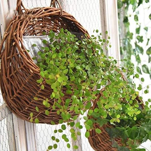 2 stk Hengekurv Flettet Rattan Kurv Vase Beholder Henge