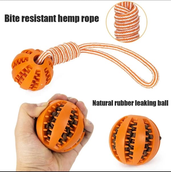 Hållbar gummiballskoja för hundar