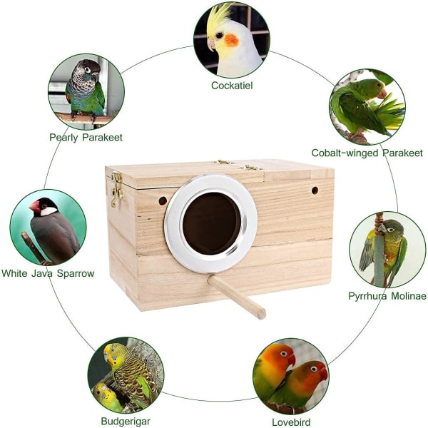 Fågelbur i trä, fågelholk fågelbolåda för parakiter