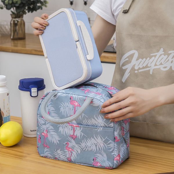 Päivitetty Kompakti Sininen Lounaskassi Tytöille, Naisille, Pojille, Miehille