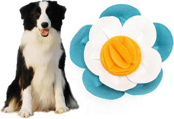 Snusemåtte til Hunde - Læringslegetøj - Hundetræning