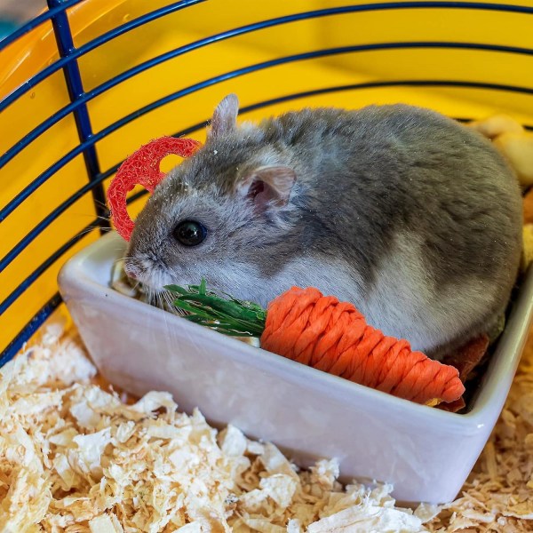 4 st Kaninleksak, Kaninleksak, Kanin Tuggleksaker, Smådjursleksaker, Kanintillbehör för Marsvin Hamster Chinchilla Gerbil Tuggleksaker