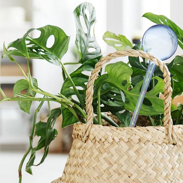 4 stk Blå Plastik Vandingskugler Vanddispenser Planter Blomst