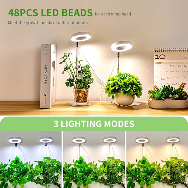 Plantelys, LED