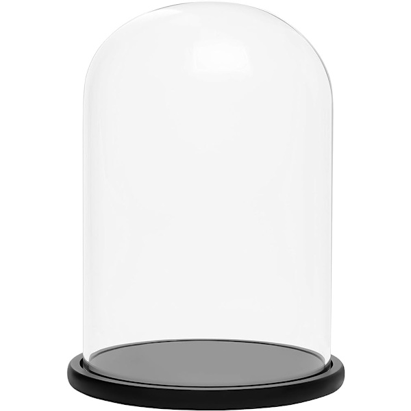 Sort træbase 20 cm - transparent dekorativ glas klokke