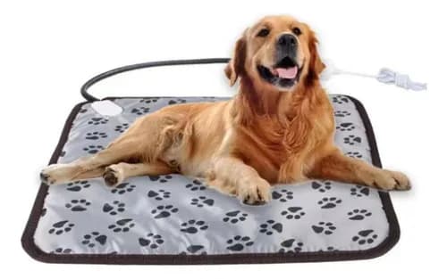 Elektrisk Opvarmet Hundebed