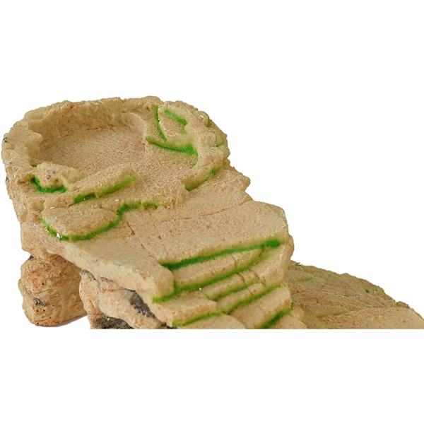Skjulested til Skildpadder, Gemte Reptiler, Øglehuler, Fugtig