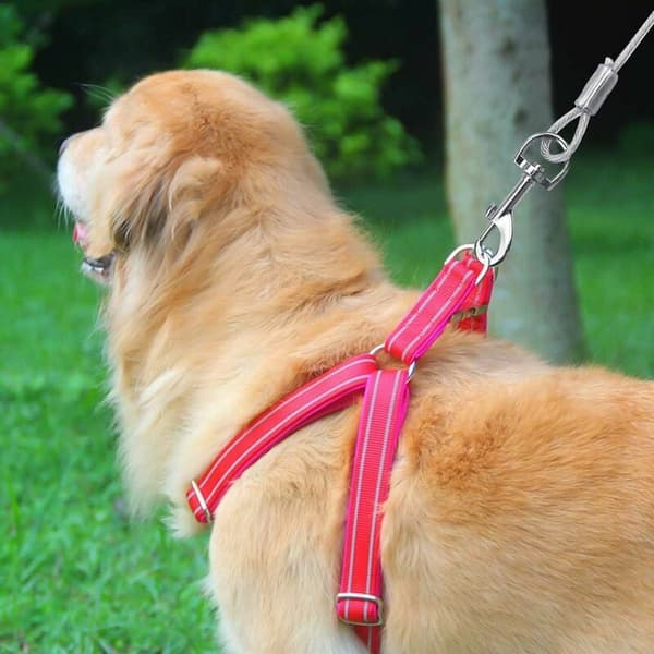 Hundetether til hunde op til 80 kg, 3 meter, fører kæledyr til små, mellemstore eller store hunde (blå)