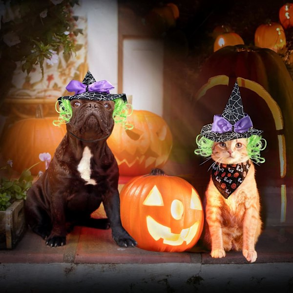 Sjov Halloween Kostume til Katte og Små Hunde, Katteheks Hat med Sjov Paryk, Justerbar Hund Heks Hat Outfit