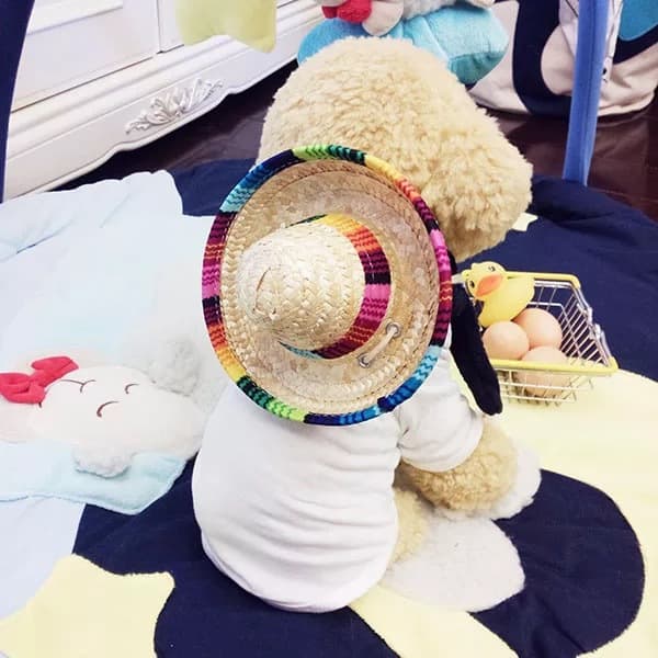Mini Halmhat Sommer Hund Cowboyhatte Katte Halmhatte Strand