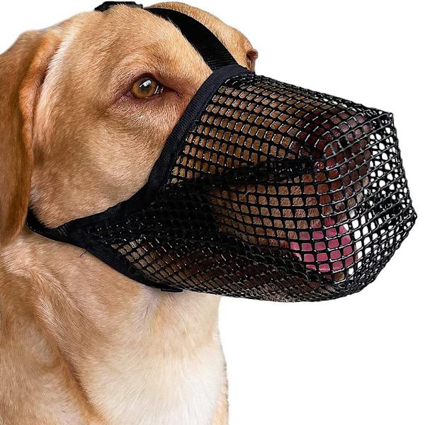 Hundemusling med afrundet net, åndbar musling til små