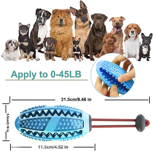 Hunde Tyggeleke, Hundens Utdanningsleke, Solid Gummi, Blå - Bitt,