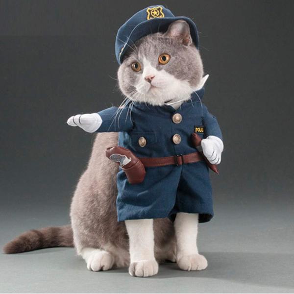 Katte- og hundedragter, søde kæledyrs tøj, sjove cosplay kostumer,