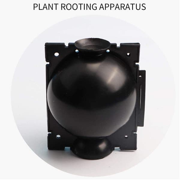 Plante-rotkule-assisterte kutter-rotboks 3 stk planter