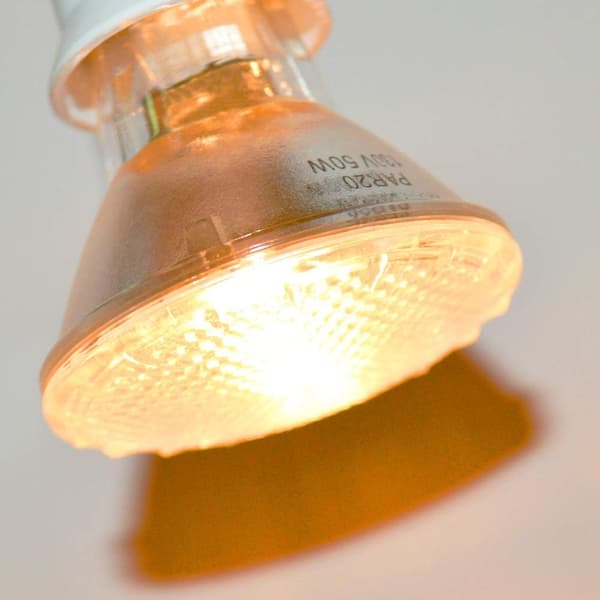PAR20 50 Watt E27 Halogen Floodlys, Dæmpbare Pærer til Emhættelys, Loftventilator, Bordlampe