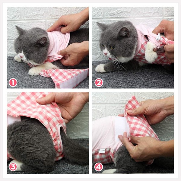 Cat Professional Recovery Suit Kirurgisk Klær for Abdominal