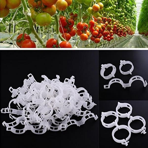 100-pack Växtstödsklämmor för Grönsaker, 0,9*2,5 (Diameter) *7.