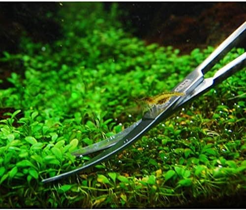 Sax, Professionella Rostfria Växt-Akvariumsaxar