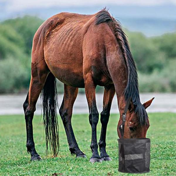 1 stk Hestefôrpose, slitesterk nylonnettfôrpose med