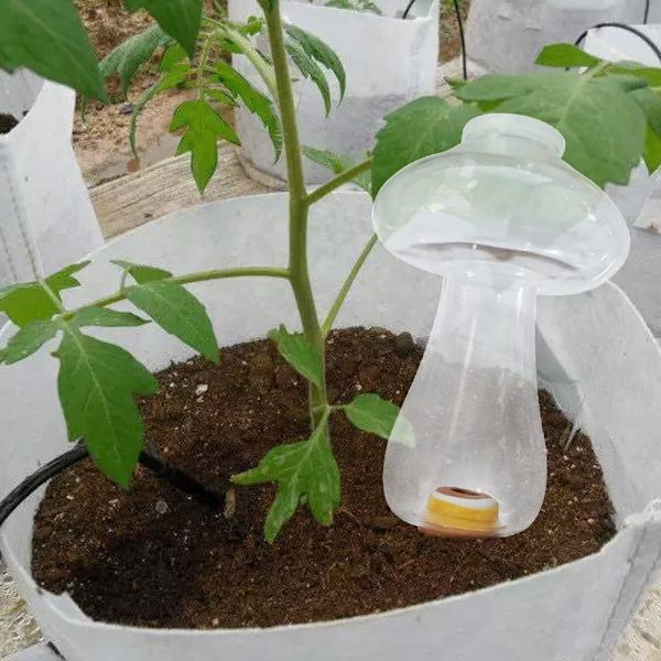 2 stk. Koniske Vanningsflasker 300ML, Innendørs Plante Leirball,