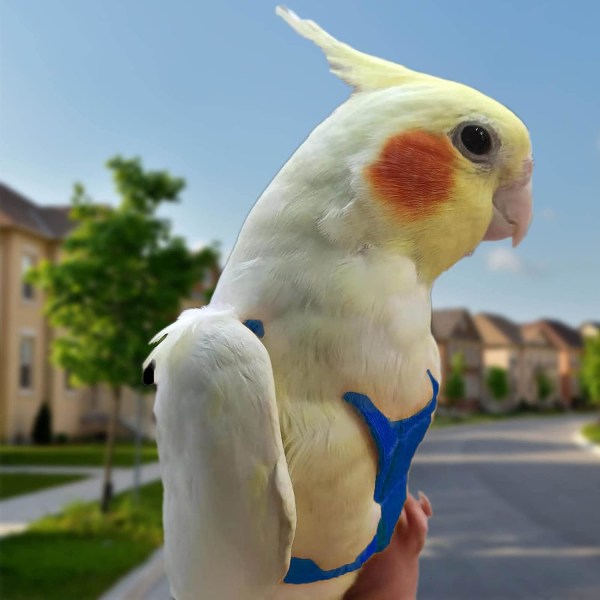 Justerbar papegojsele Husdjurskoppel Anti-bettrep Elastisk rem