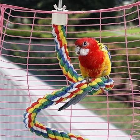 Parrot Bomullsrep Klätterställning Färgad Bomullsrep Roterande