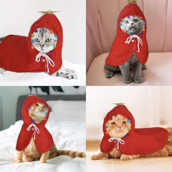 Julekostume til kat, julekostume til kat, jul