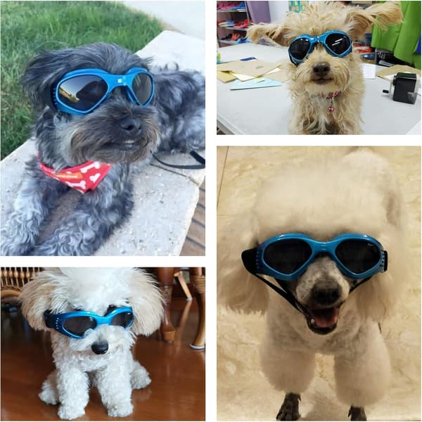 Hunde Solbriller - Justerbar UV Solbrille Stropp - Vanntett
