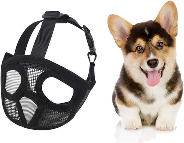 Hundemusling med flat snute, justerbar, pustende