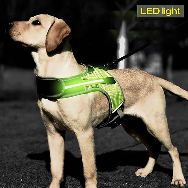 LED-valjaat koirille, heijastava turvapanta, hengittävä pehmeä verkkotakki ulkoiluun ja koulutukseen