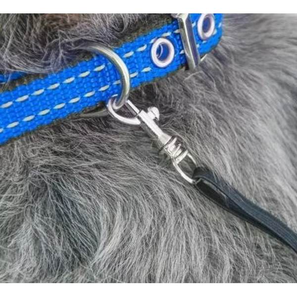 1 stk. Katte- og Hunde-bærepose, Åndbar Mesh-Dyrehåndtaske Rejsetaske