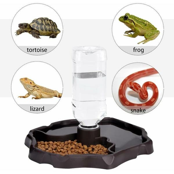 Reptil Vanddispenser, 2 i 1 Anti-Overflow Foderdispenser Skål