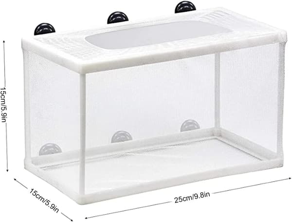 Fiskeyngelboks Fiskeinkubatorboks, Plast Oppdrettsisolasjon
