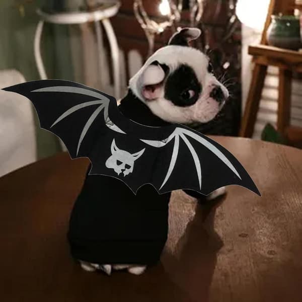 Halloween Kattekostumer - Sød Unik Halloween Kattekostume