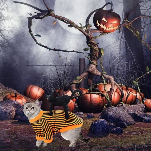 Halloween-koiranpuku, lemmikkieläinten Halloween, kissa ja koiran Halloween