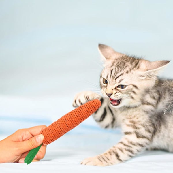 Carrot cat chew toy, kitten interactive teething carrot