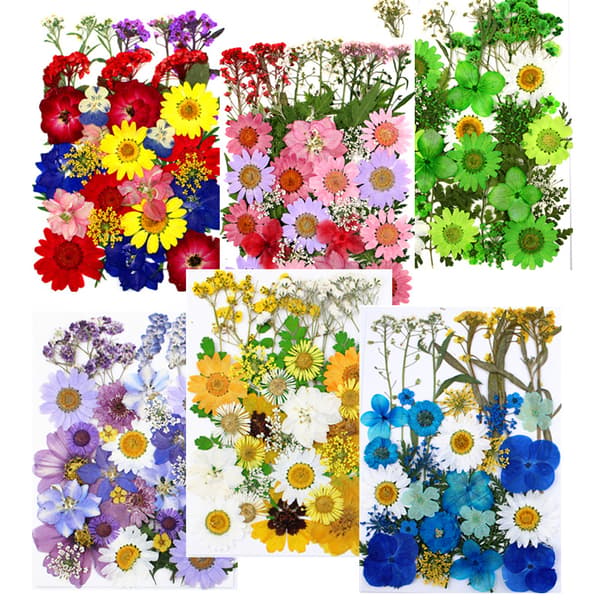 6 stk. tørrede blomster prægning kombinationspakke presset blomst