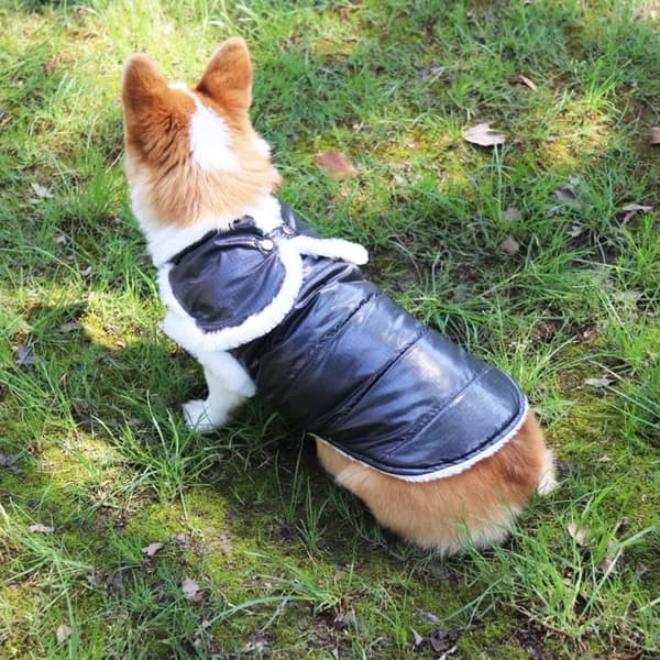 Vanntett Hundevinterjakke, Varmt Hundevest