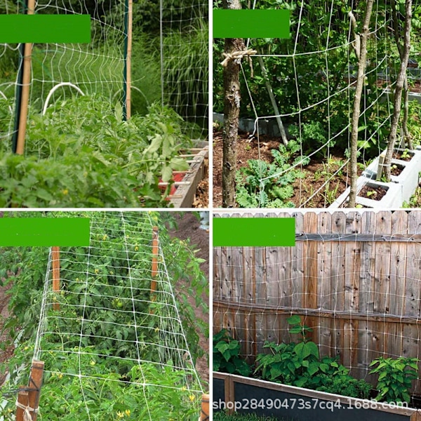 3M*10M Haveplante Klatrenet, Polyester Vævet Net, Cross-Border Støttenet, Plante Klatrenet