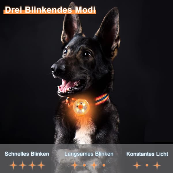Sikkerheds LED Blinkende Lys til Hunde, Katte - USB Genopladelig LED D
