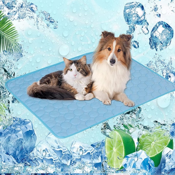 PET Summer Ice Silk pad Dog Groove fuktsäker pad för hundar