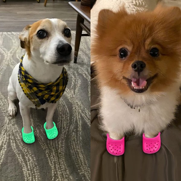 2 par Candy Pet Shoes Andas Mesh Summer Dog