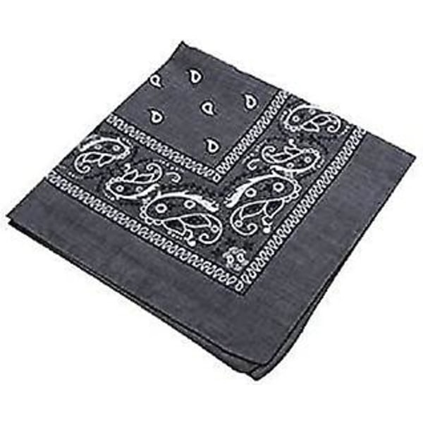 Bandanas Paisley Flerfärgad 100% Bomull Hårband Sjal Bomull Paisley Mönster Hårband Bandanas Foulard Fichu Näsduk Sjal Present till Män