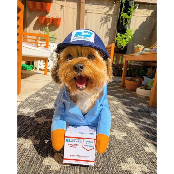 USPS Dog Mail Carrier Costume, Funny Courier förvandlad till