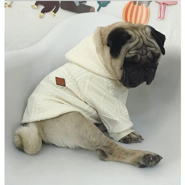 Dragkedja Hoodie för Hundar Husdjurskläder Hund Katt Kläder Söt Husdjur