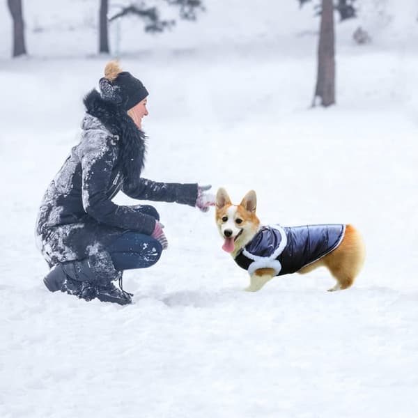 Vanntett Hundevinterjakke, Varmt Hundevest