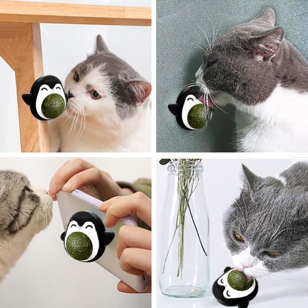 Kattmynta Boll Katt Leksak Kattmynta Boll Inomhusleksaker för Lek med Katter